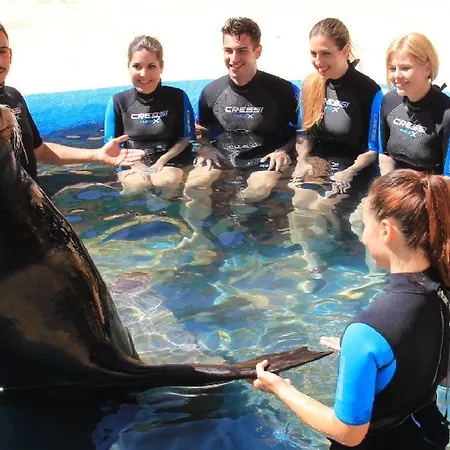 Szálloda East By Pierre & 4*